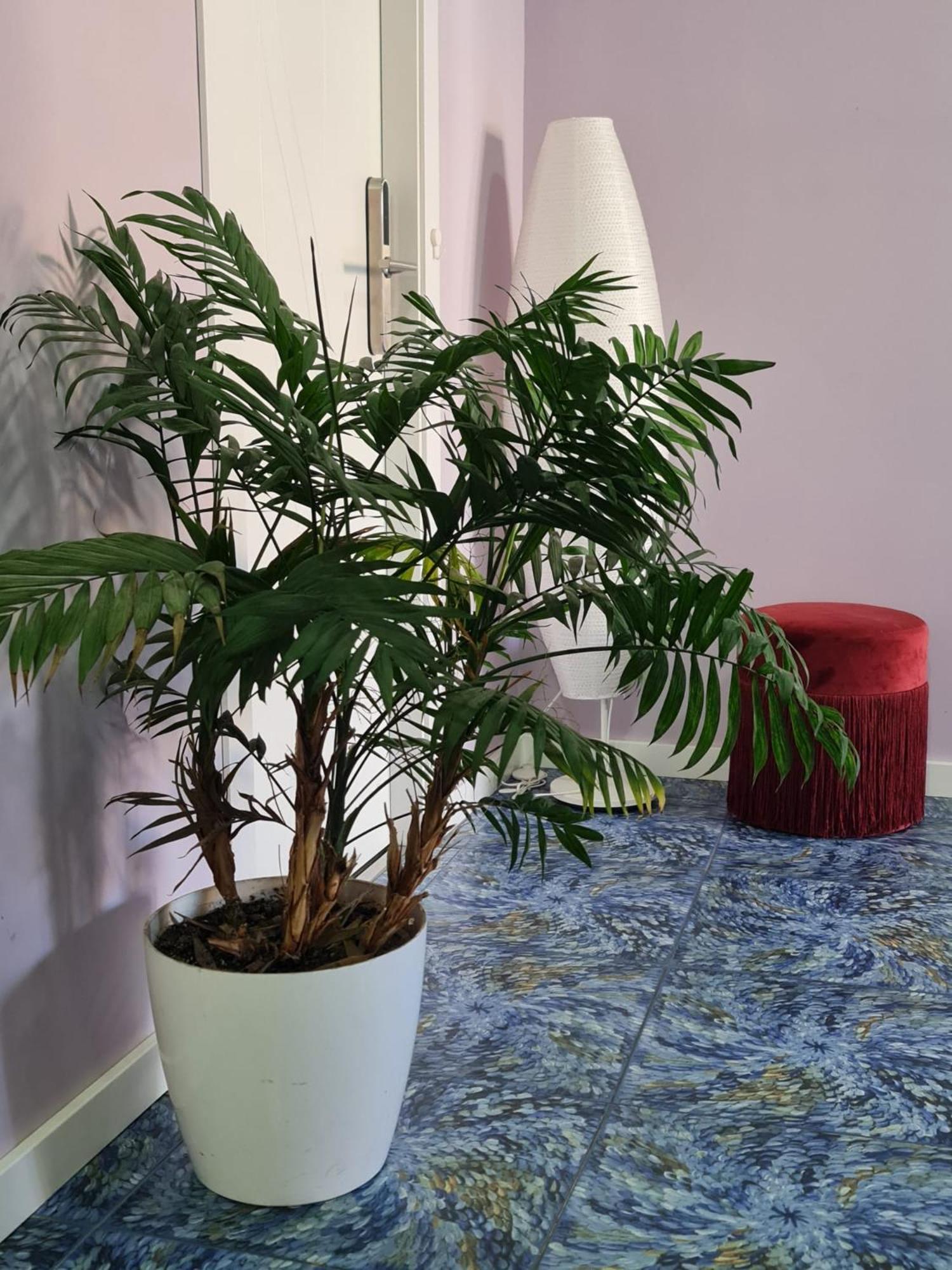 Huelva Art Hotel Екстериор снимка